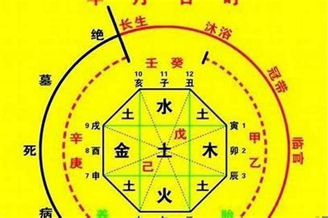 怎麼看喜用神|如何确定八字喜用神 – 八字喜用神的取用技巧